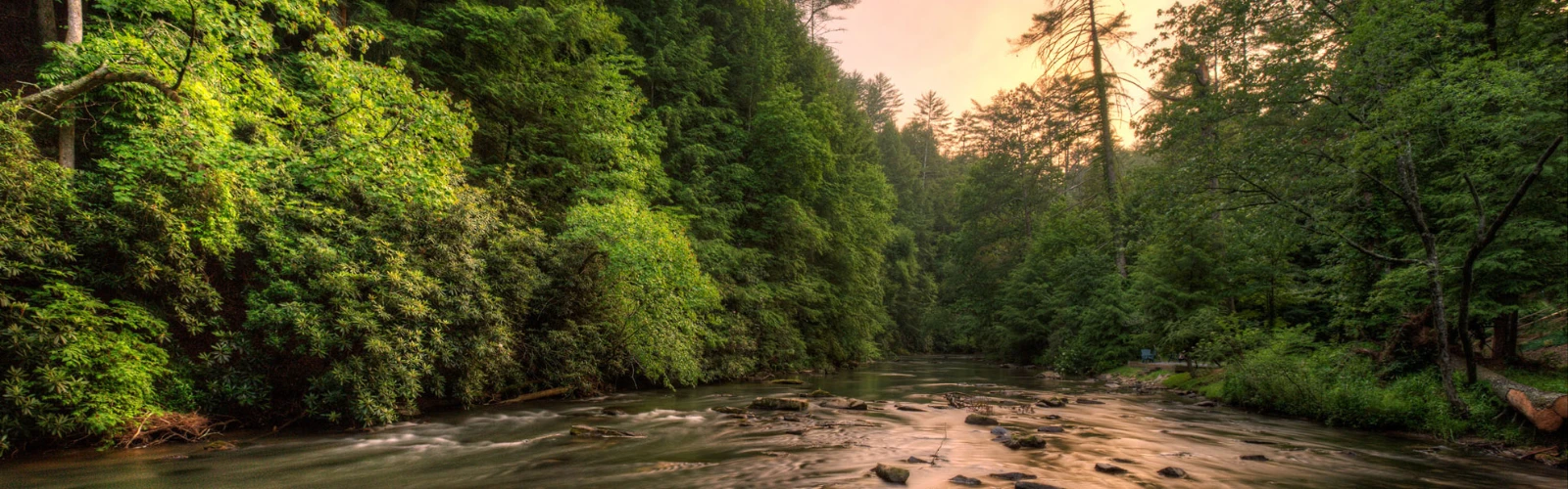 10 Best Restaurants in Ellijay, GA, USA