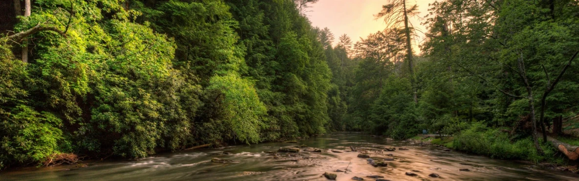 10 Best Restaurants in Ellijay, GA, USA