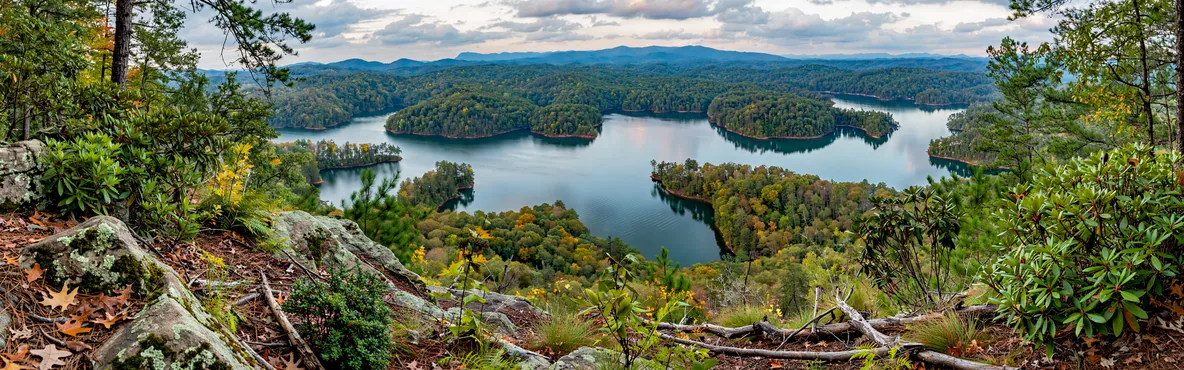 Escape to the Outdoors: Camping and Outdoor Activities in Ellijay, GA