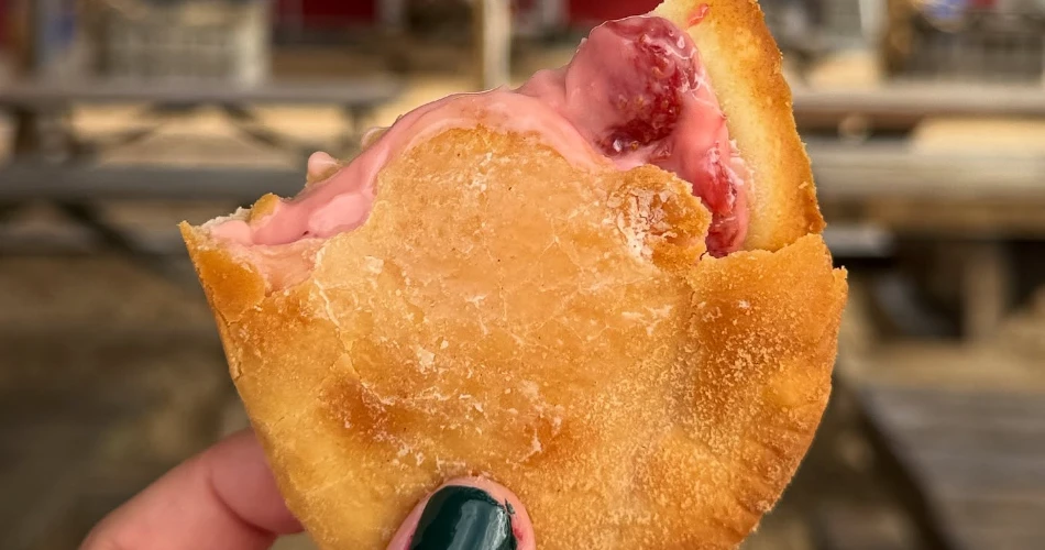 Top 10 Reasons Guests Visit Ellijay, GA, More Than Once