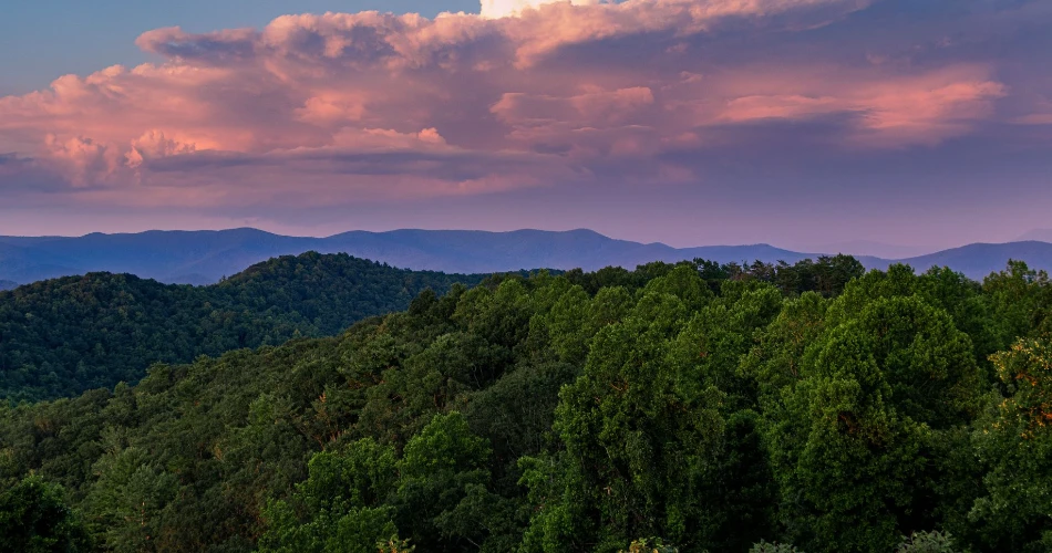 Top 10 Reasons Guests Visit Ellijay, GA, More Than Once