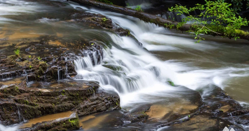 Top 10 Reasons Guests Visit Ellijay, GA, More Than Once