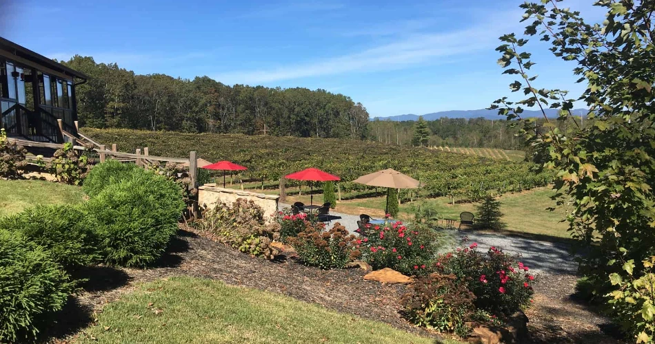 Top 10 Reasons Guests Visit Ellijay, GA, More Than Once