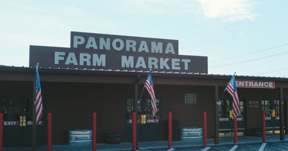 Top 10 Reasons Guests Visit Ellijay, GA, More Than Once