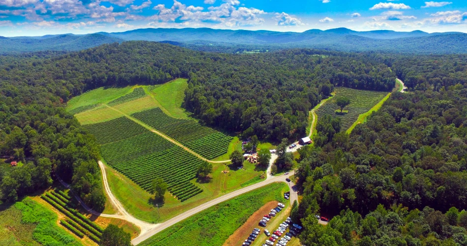 Top 10 Reasons Guests Visit Ellijay, GA, More Than Once