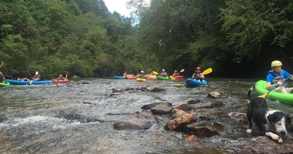 8 Can't-Miss Things to Do in Ellijay, GA