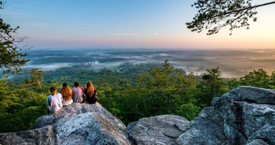 8 Can't-Miss Things to Do in Ellijay, GA