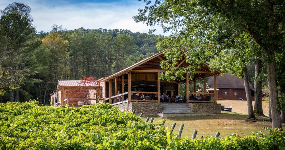8 Can't-Miss Things to Do in Ellijay, GA