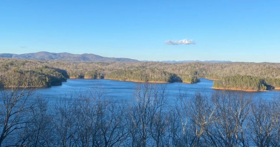 8 Can't-Miss Things to Do in Ellijay, GA