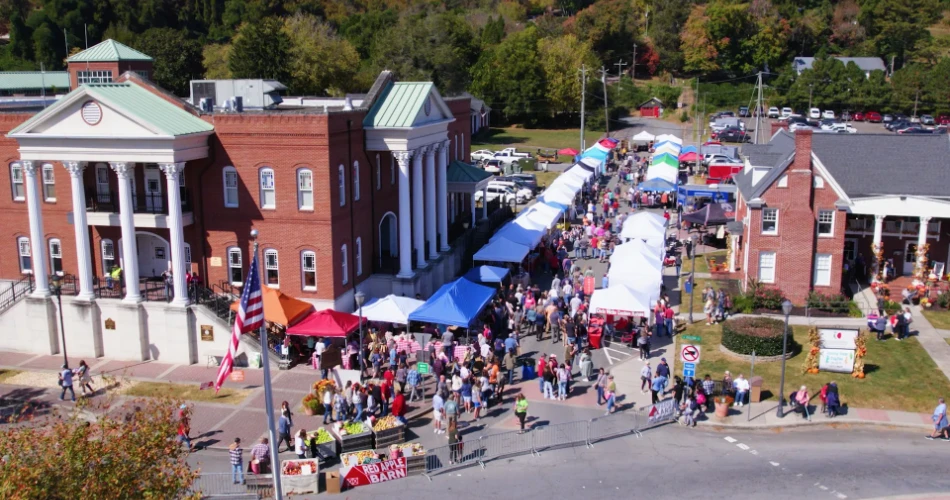 8 Can't-Miss Things to Do in Ellijay, GA